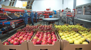 Ustawa o organizacji rynków owoców i warzyw przyjęta z poprawką