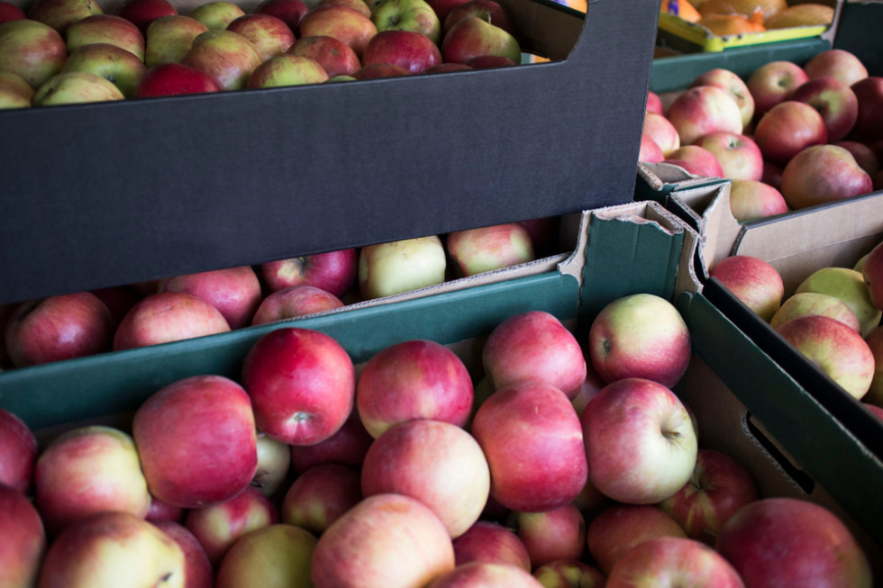 Handel jabłkami ożywił się od połowy stycznia