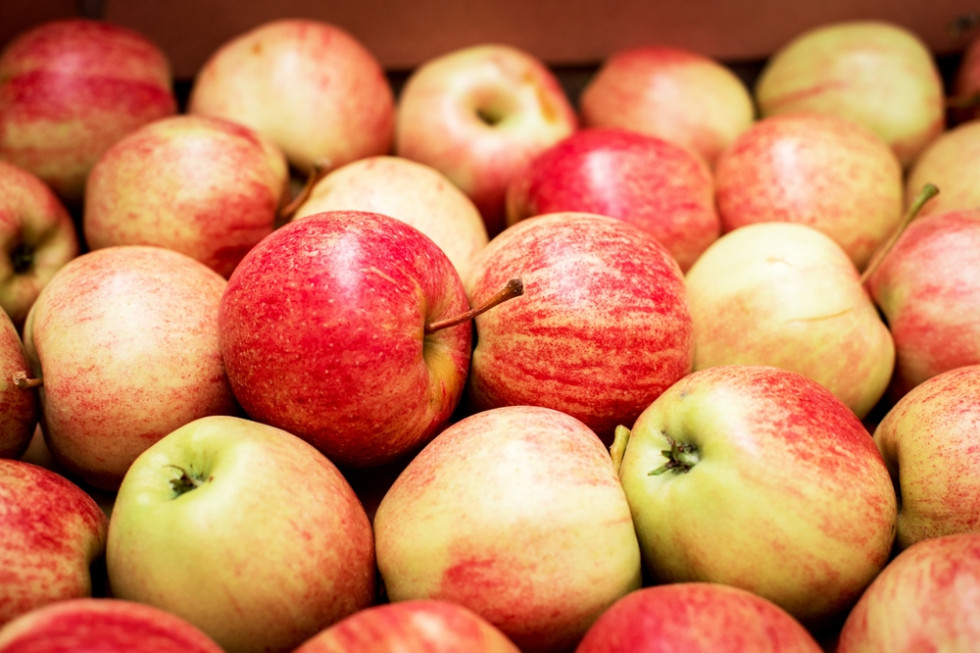 Ile jabłek jest jeszcze w polskich chłodniach? Raport WAPA