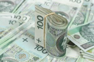 Rolnik będzie mógł wziąć do 300 tys. zł pożyczki bez zabezpieczeń?