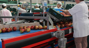 Senat zgłosił poprawkę do noweli ustawy o organizacji rynków owoców i warzyw