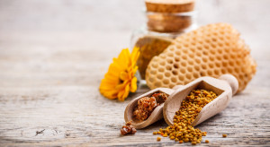 Pyłek pszczeli dla zdrowia i urody. Jak rozpoznać ten prawdziwy?