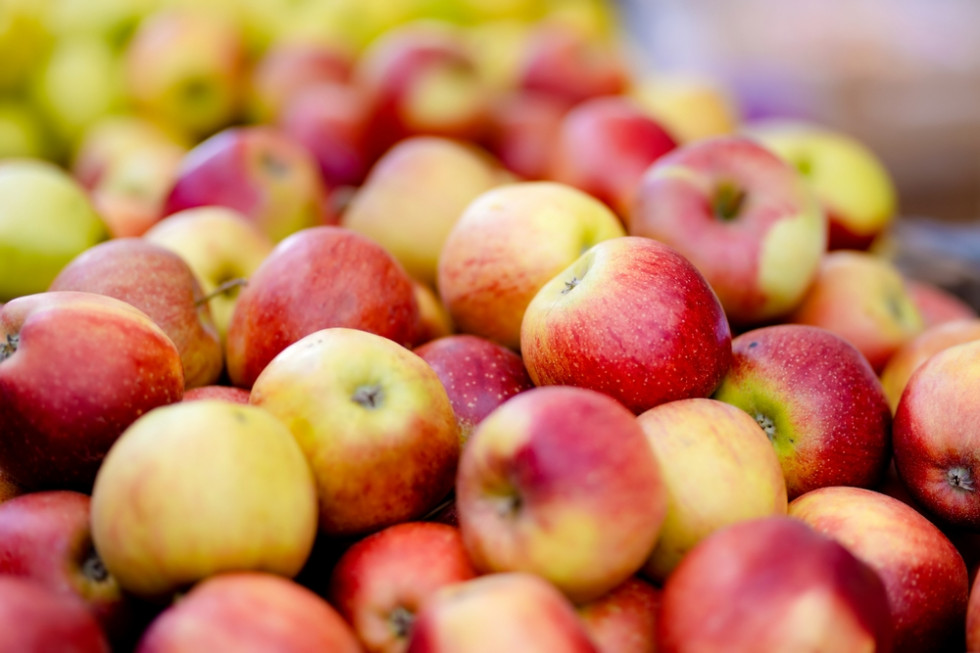 Wzrost produkcji jabłek na półkuli południowej