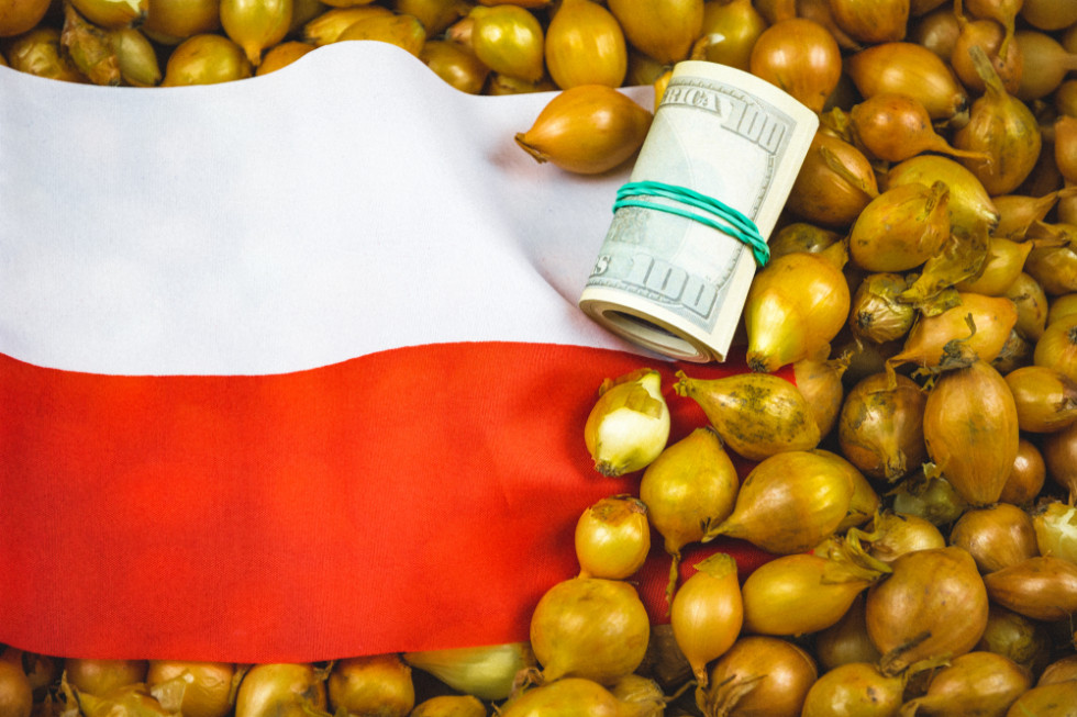 Znakomite wyniki eksportu polskiej żywności w 2022 roku/ fot.shutterstock.com Znakomite wyniki eksportu polskiej żywności w 2022 roku