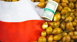 Znakomite wyniki eksportu polskiej żywności w 2022 roku