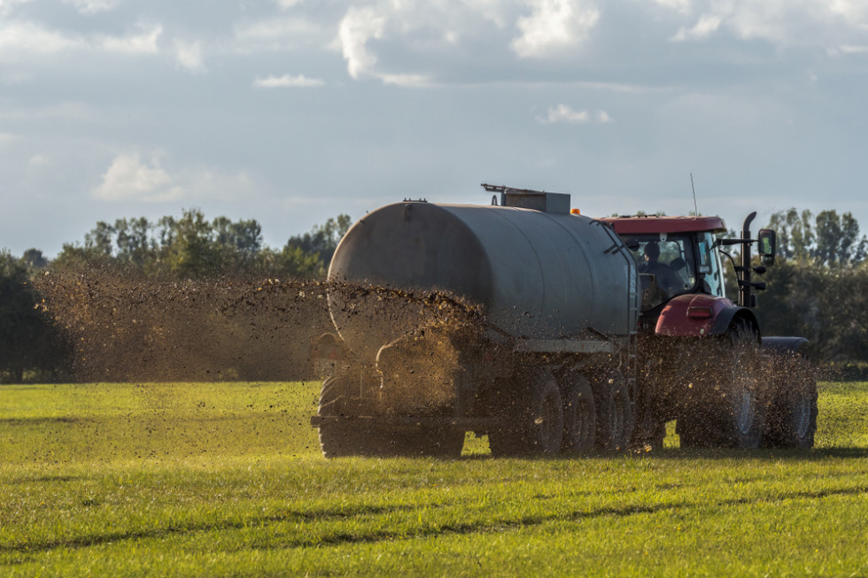 Nawóz ze ścieków? Chętnych rolników nie brakuje/ fot.shutterstock.com Nowy sposób nawożenia? Zdecydowanie tańszy od tradycyjnych nawozów