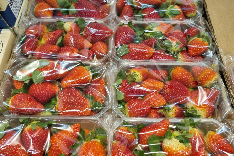 Ceny borówek, truskawek i malin w sieciach handlowych