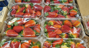 Ceny borówek, truskawek i malin w sieciach handlowych