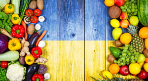 Ukraina przez siedem miesięcy wyeksportowała ponad 22 mln ton żywności