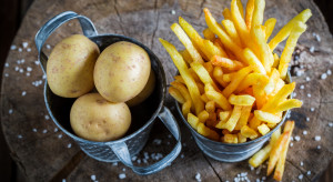Odchudzone frytki i chipsy? 5 przepisów na ziemniaki w wersji fit