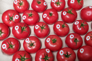 Odmiana dla każdego. Co trzeba wiedzieć o pomidorze malinowym Ożarowskim?