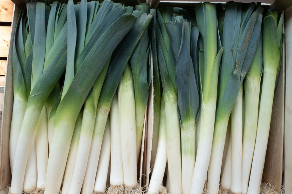 Zarzuty kradzieży 4 tys. sztuk porów usłyszało dwóch mężczyzn, grozi im do 5 lat więzienia / fot. shutterstock Ukradli 4 tys. sztuk porów. Grozi im do 5 lat więzienia