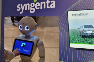Rozwiązania cyfrowe od Syngenta - do czego służą i jak z nich skorzystać?