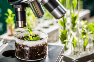 Biolodzy roślin w międzynarodowym projekcie na rzecz klimatu
