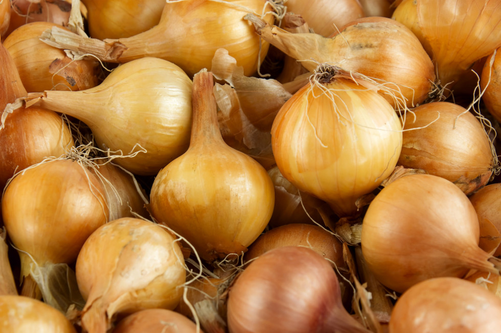 Wysokie ceny cebuli będą normą? "Zmiany klimatu niszczą uprawy"