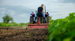 Grunty wrócą do rolników. KOWR ogłasza przetarg na 250 ha ziemi rolnej