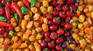 Ustawa o organizacji rynków owoców i warzyw. Jest decyzja Sejmu