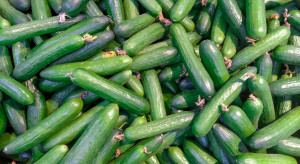 Kryzys sałatkowy: sieci handlowe znoszą limity na zakup warzyw i owoców