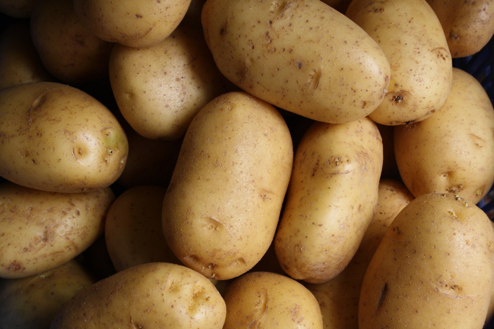 Przekroczenie dopuszczalnego poziomu pestycydu w ziemniakach. Partia wycofana