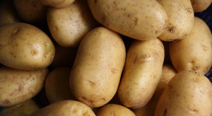 Przekroczenie dopuszczalnego poziomu pestycydu w ziemniakach. Partia wycofana