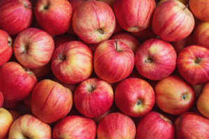 Sytuacja na rynku jabłek poprawi się? Ceny za pewne odmiany wzrosły