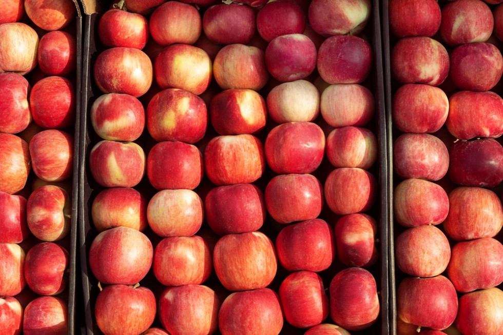 Eksport gruzińskich jabłek wzrósł ale po słabych cenach