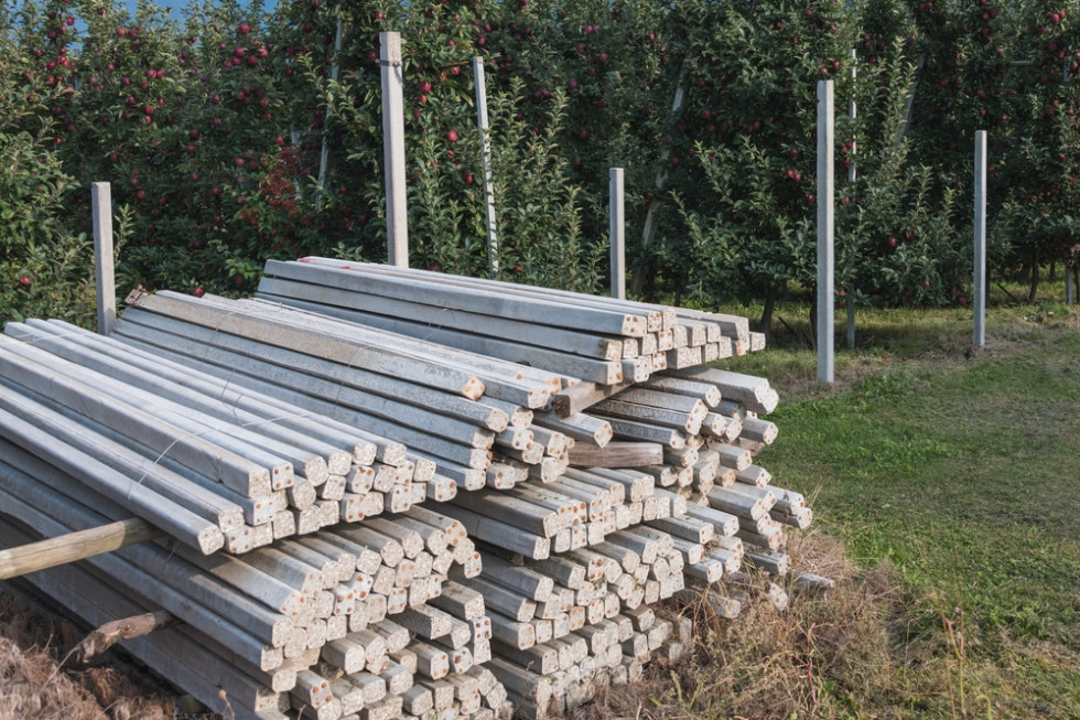 Ceny słupów betonowych do sadu- ile wynoszą? Czy będą drożeć?/ fot.shutterstock Ceny słupów betonowych do sadu. Ile kosztują? Czy będą drożeć?