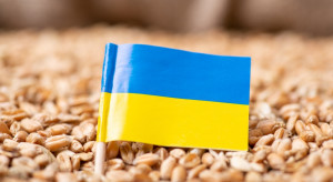 Będzie zakaz przywożenia do Polski żywności i zboża z Ukrainy