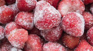 Przetwórcy nie będą kupować owoców z Polski? Zalani są ukraińskimi