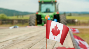 Kanadyjscy farmerzy zwiększają zasiewy. Są dwa powody