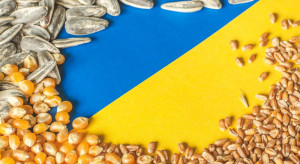 KE przyjęła tymczasowe środki zapobiegawcze dot. przywozu towarów z Ukrainy