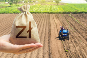 Dopłaty do nawozów 2023. Kwota wsparcia jest zawrotna