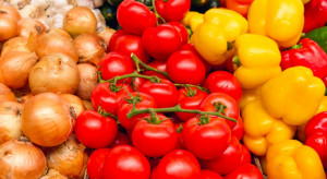 Pomidory coraz tańsze. Jakie ceny krajowych warzyw?