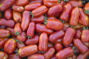 Najsmaczniejsza odmiana pomidora. Jest odporna na choroby grzybowe