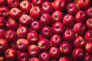 Rynek jabłek: Jakie odmiany warto sadzić, żeby zarobić?