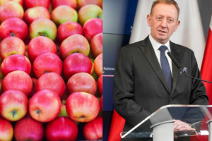 Minister Telus: nie powinno być w tym roku problemu z eksportem jabłek