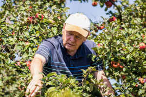 Kiedy wypłata 14 emerytury dla rolników w 2023? KRUS podaje terminy