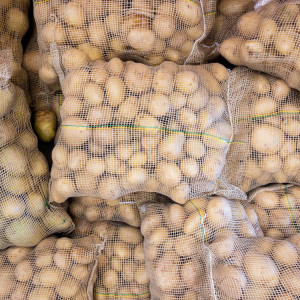 Ceny ziemniaków 2023: Ile trzeba zapłacić za 15 kg worek?