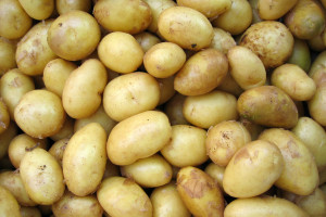 Ceny ziemniaków 2023: Gdzie kupić najtaniej?