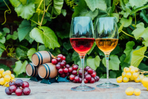 KOWR czeka na wnioski od producentów wina
