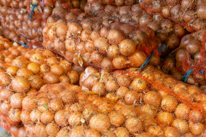 Ceny cebuli w hurcie. Ile kosztuje 15 kg worek?