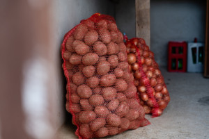Jak przechowywać ziemniaki? Trzymaj się tych zasad