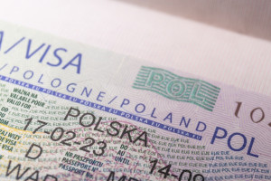 Afera wizowa odbije się na branży ogrodniczej? "Bardzo nam zaszkodzi"