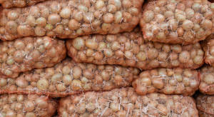 Wzrosły ceny cebuli na Ukrainie. Duży popyt winduje stawki