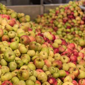 Wysokie ceny koncentratu jabłkowego. Mniejsza produkcja i wysoki popyt