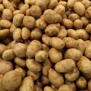 Ceny ziemniaków 2023: Ile kosztują w hurcie i na targowiskach?