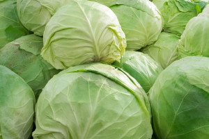 Kapusta na zimę. Jak ją przechowywać? Ważny jest  ten czynnik!