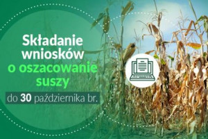 Zmienia się termin składania wniosków o oszacowanie szkód po suszy