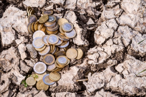 Pomoc suszowa 2023.  Jak złożyć wniosek? Jakie stawki?