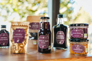 Jakich zmian potrzebuje branża jagodowa? "Nie bójmy dzielić się pomysłami"